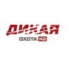 Дикая охота
