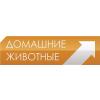 ДОМАШНИЕ ЖИВОТНЫЕ